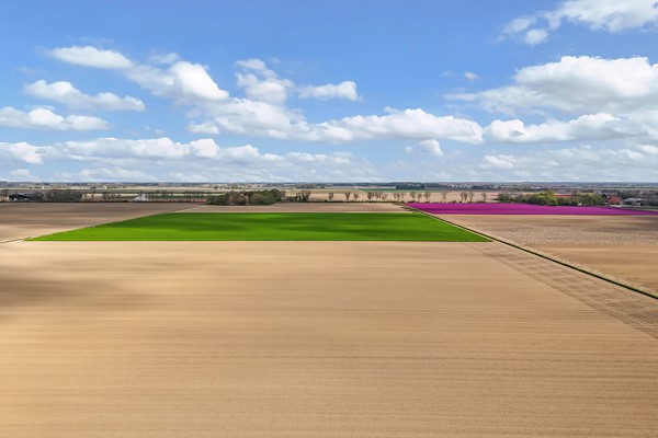 Foto John Daltonhage 8 Emmeloord 76.jpg